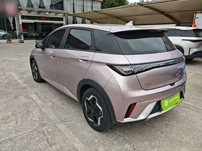BYD Dolphin 2022, 58099 км, за 8604.8 USD