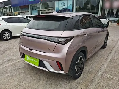 BYD Dolphin 2022, 58099 км, за 8604.8 USD - фото 7