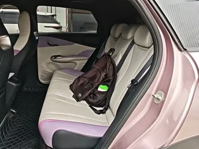BYD Dolphin 2022, 58099 км, за 8604.8 USD - фото 17