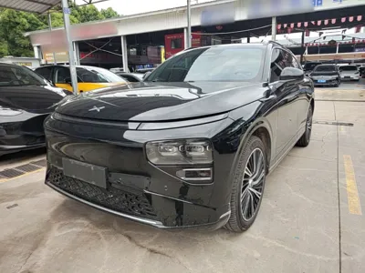 Xpeng G9 · 2024 год