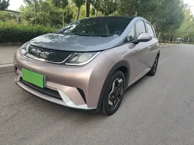 BYD Dolphin 2023, 32300 км, за 9082.3 USD