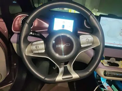 BYD Dolphin 2023, 32300 км, за 9082.3 USD