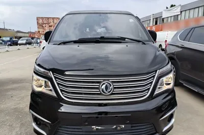 Forthing Lingzhi 2020, 53300 км, за 6439 USD
