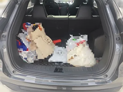 Changan X5 Plus 2024, 33100 км, за 8963 USD - фото 20