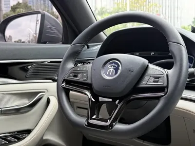 BYD PLUS New Energy 2022, 35000 км, за 10168.15 USD