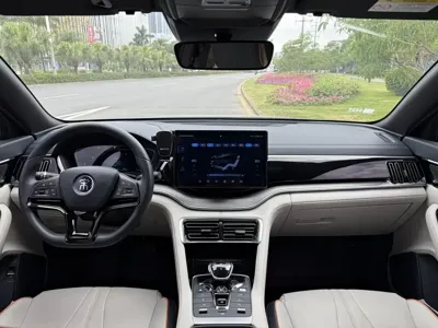 BYD PLUS New Energy 2022, 35000 км, за 10168.15 USD - фото 7