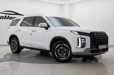 Hyundai Palisade · 2023 год