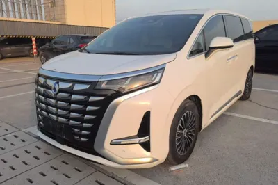 Denza D9 · 2022 год