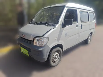 Wuling Zhiguang · 2020 год