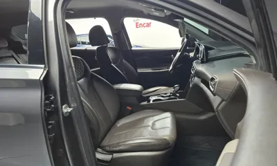 Hyundai Santafe 2019, 215035 км, за 9100.97 USD - фото 11