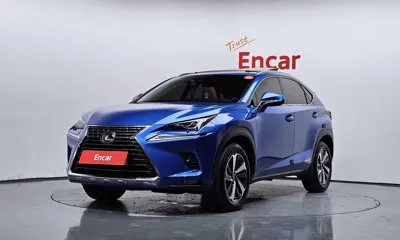 Lexus NX · 2019 год