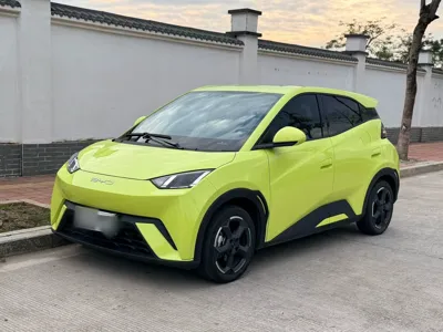 BYD Seagull · 2023 год