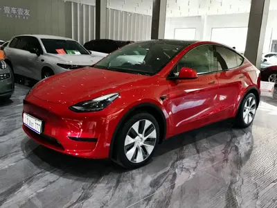 Tesla Model Y · 2022 год