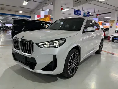 BMW X1 · 2025 год