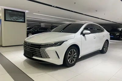 BYD Destroyer 05 · 2024 год