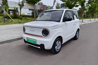 Geely Galaxy Panda · 2024 год