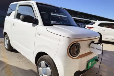 Geely Galaxy Panda 2024, 16300 км, за 6442 USD