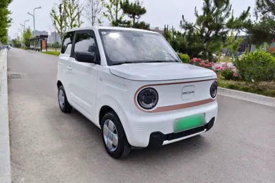 Geely Galaxy Panda 2024, 16300 км, за 6442 USD - фото 13