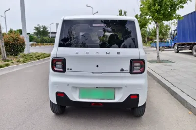 Geely Galaxy Panda 2024, 16300 км, за 6442 USD - фото 14