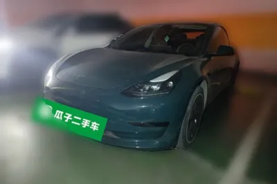 Tesla Model 3 · 2021 год