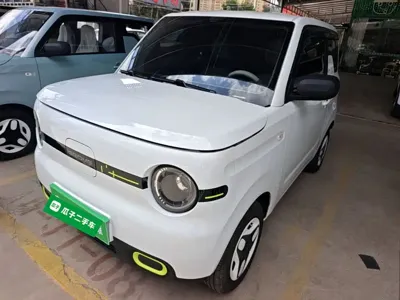 Galaxy Panda