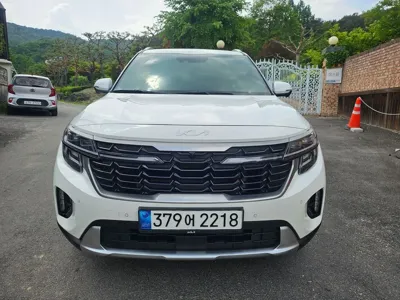 Kia Seltos 2024, 30935 км, за 17356.82 USD