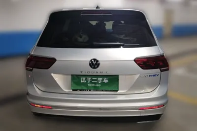 Volkswagen Tiguan L New Energy · 2021 год