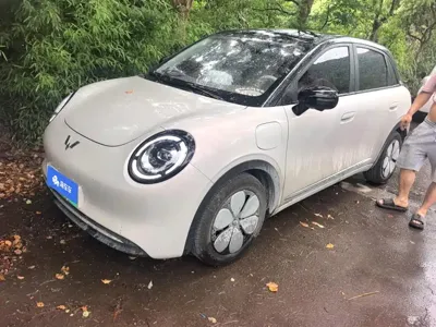 Wuling 缤果Pro · 2026 год