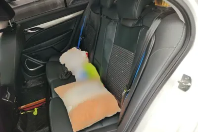Geely Auto Emgrand 2019, 49500 км, за 6031 USD - фото 14