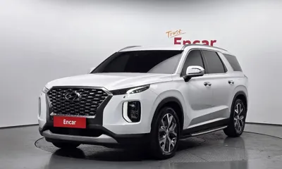Hyundai Palisade · 2019 год