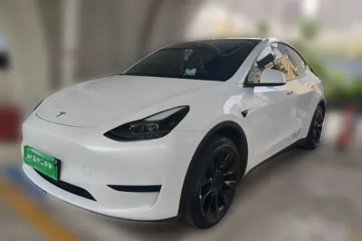Tesla Model Y · 2024 год