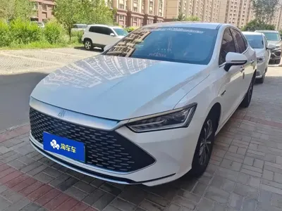 BYD Qin Plus · 2024 год