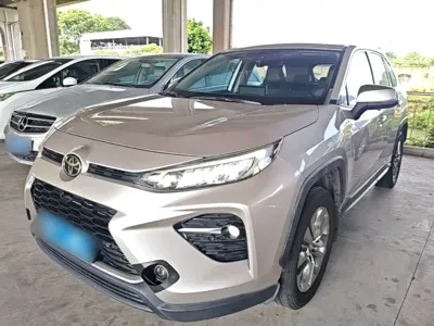 Toyota Wildlander · 2020 год