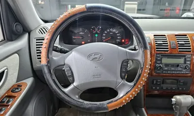 Hyundai Terracan 2004, 134301 км, за 2499.34 USD - фото 13