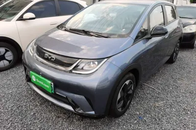 BYD Dolphin · 2025 год