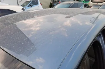 BYD Dolphin 2025, 100 км, за 13050 USD - фото 7