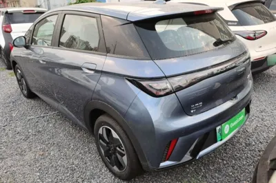BYD Dolphin 2025, 100 км, за 13050 USD - фото 13