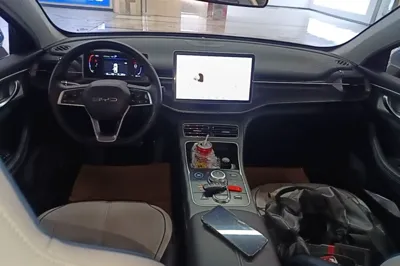 BYD Destroyer 05 2024, 32400 км, за 11299 USD - фото 12