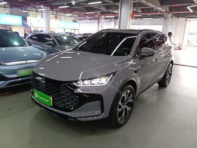 BYD Tang New Energy · 2025 год