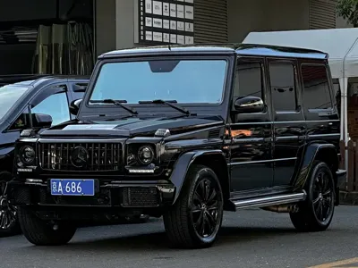 Mercedes-Benz G-Class · 2016 год