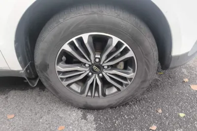 Geely Auto Vision X6