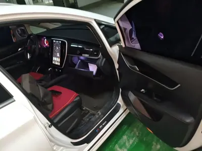 BYD MAX