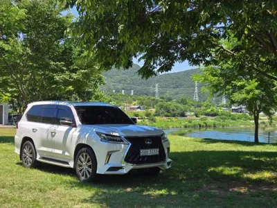 Lexus LX 2017, 199324 км, за 54397.42 USD - фото 7