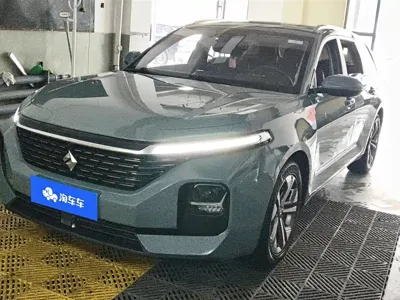 Baojun Valli · 2021 год