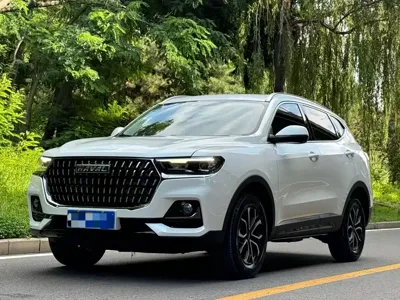 Haval H6 · 2024 год