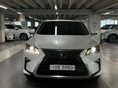 Lexus RX 2019, 91138 км, за 27627.89 USD