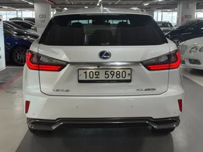 Lexus RX 2019, 91138 км, за 27627.89 USD