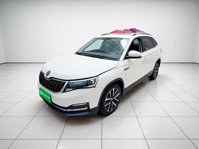 Skoda Kamiq · 2019 год