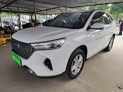 Haval M6 · 2022 год