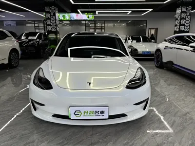 Tesla Model 3 2021, 44000 км, за 22513.94 USD